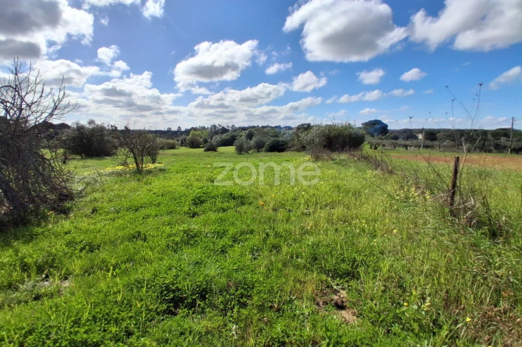 Terreno para Venda em Almoster Foto 12