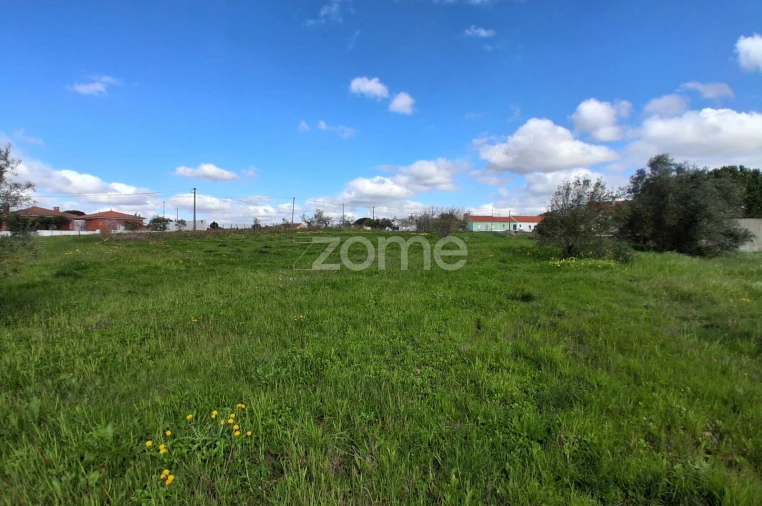 Terreno para Venda em Almoster Foto 14