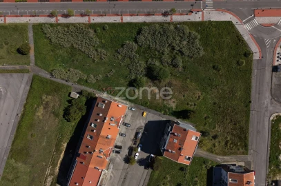 Terreno para Venda em Oliveira do Bairro