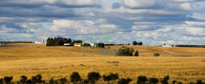 Quinta para Venda em Redondo