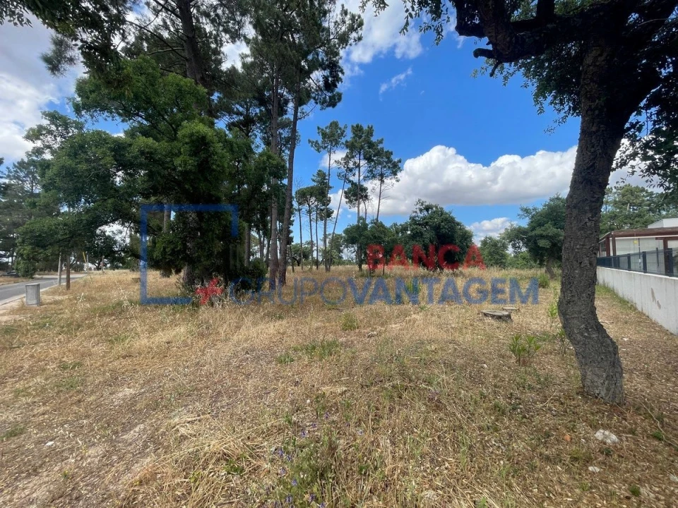 Terreno P/ Prédio para Venda em Azeitão (São Lourenço e São Simão) Foto 10