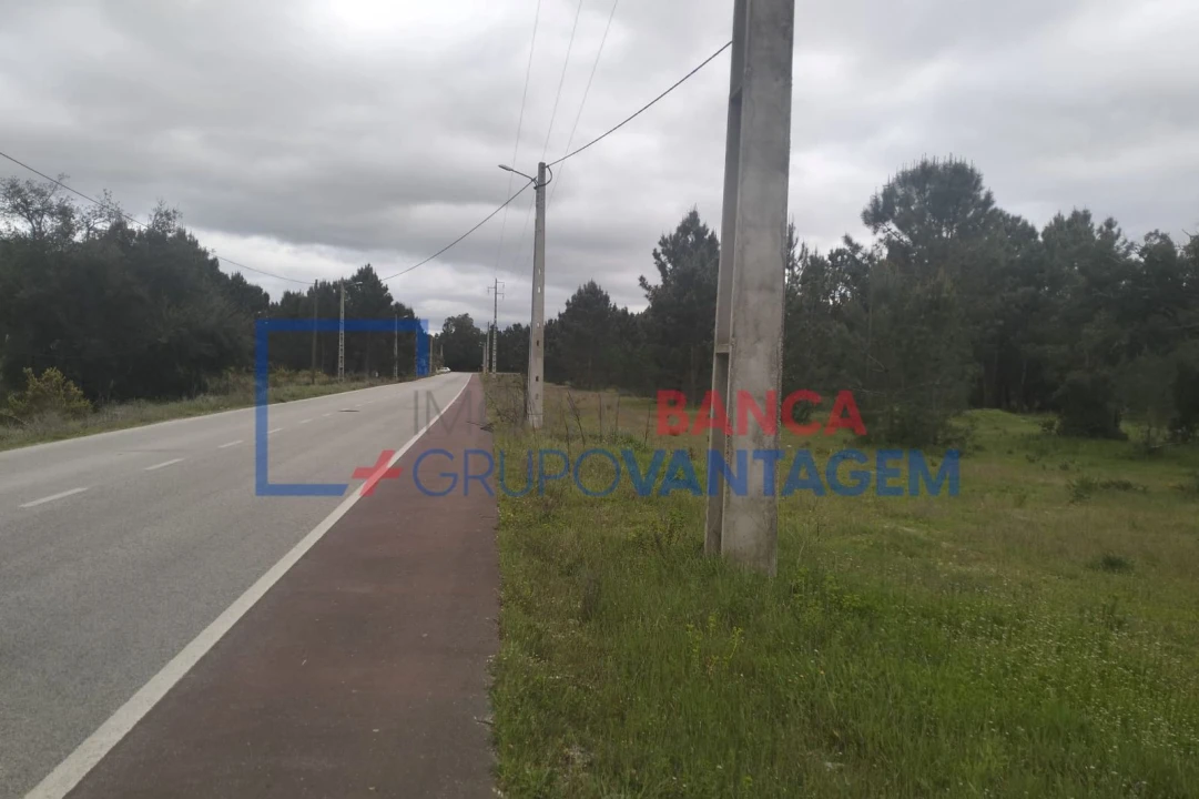 Terreno Agricola ou Rústico para Venda em Salvaterra de Magos e Foros de Salvaterra Foto 2