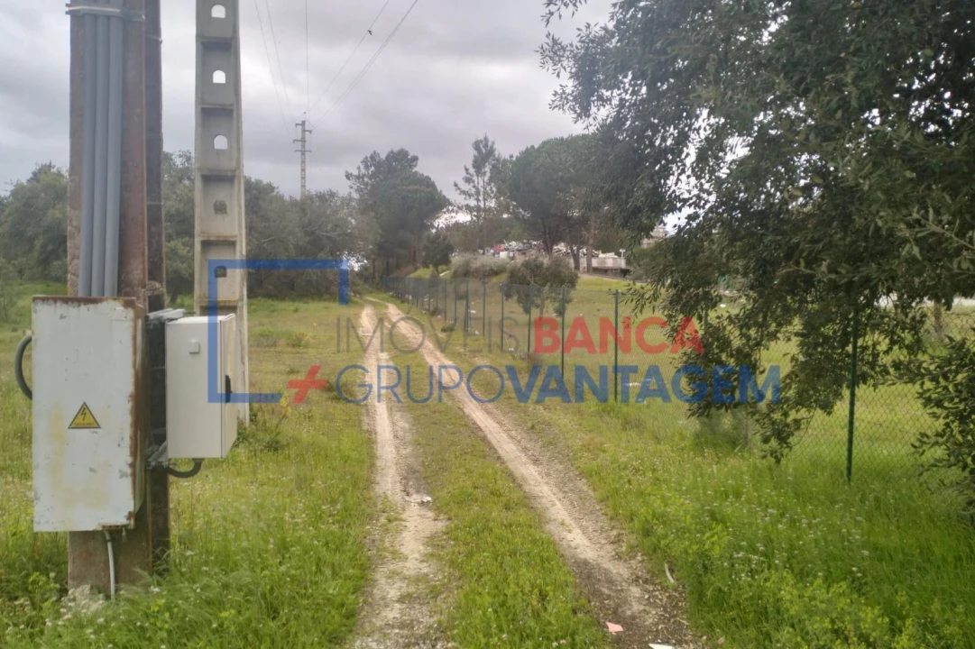 Terreno Agricola ou Rústico para Venda em Salvaterra de Magos e Foros de Salvaterra Foto 4