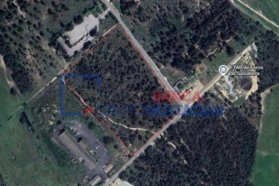 Terreno Agricola ou Rústico para Venda em Salvaterra de Magos e Foros de Salvaterra