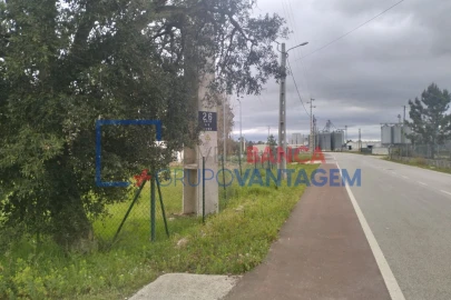 Terreno Agricola ou Rústico para Venda em Salvaterra de Magos e Foros de Salvaterra