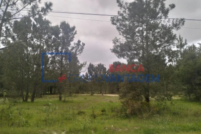 Terreno Agricola ou Rústico para Venda em Salvaterra de Magos e Foros de Salvaterra