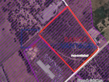 Terreno Agricola ou Rústico para Venda em Salvaterra de Magos e Foros de Salvaterra