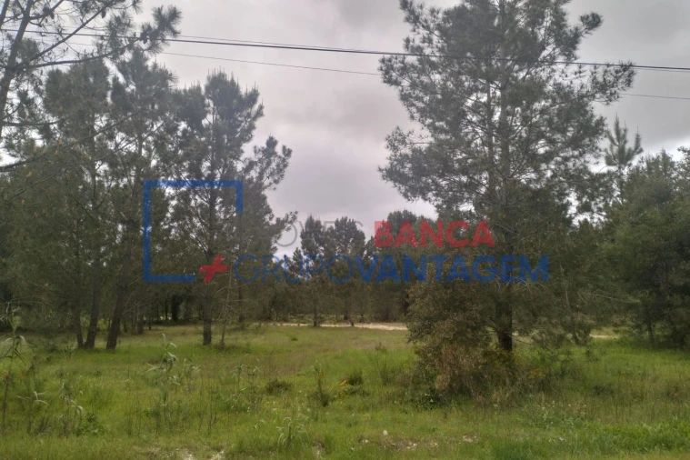 Terreno Agricola ou Rústico para Venda em Salvaterra de Magos e Foros de Salvaterra Foto 5