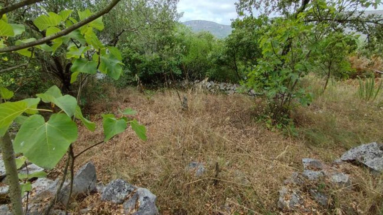 Terreno P/ Prédio para Venda em Minde Foto 2