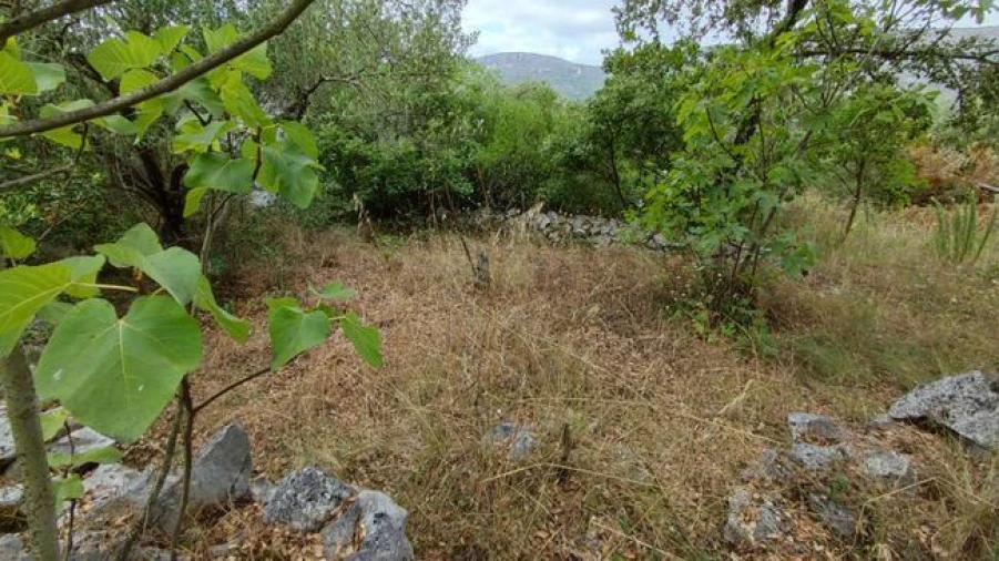 Terreno P/ Prédio para Venda em Minde Foto 2
