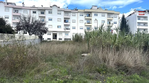 Terreno para Venda em Nossa Senhora da Piedade