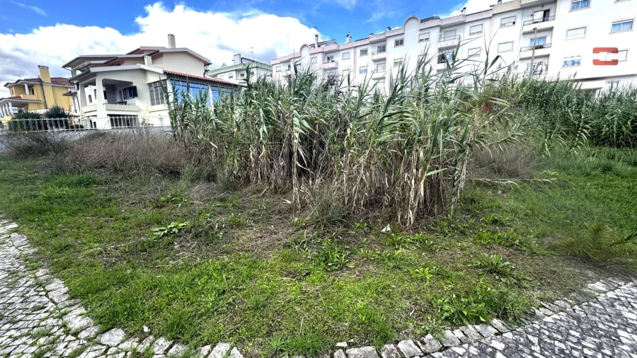 Terreno para Venda em Nossa Senhora da Piedade Foto 21