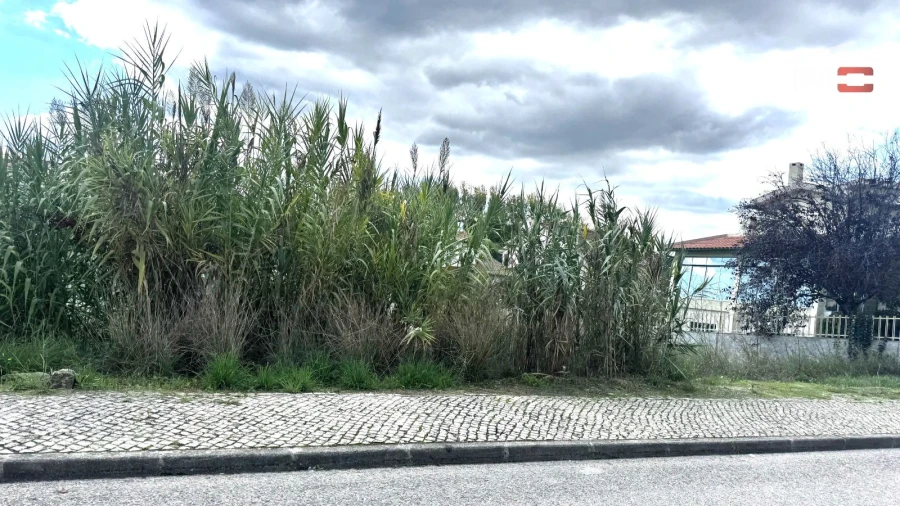 Terreno para Venda em Nossa Senhora da Piedade Foto 23