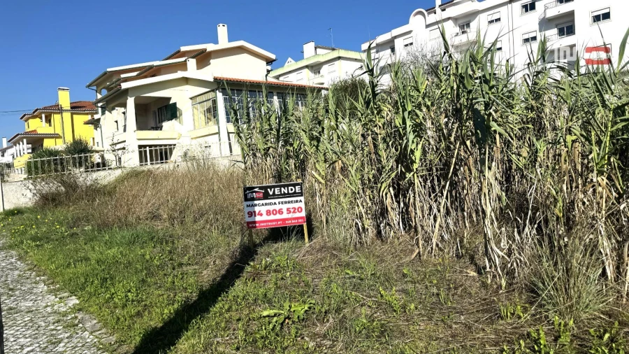 Terreno para Venda em Nossa Senhora da Piedade Foto 25
