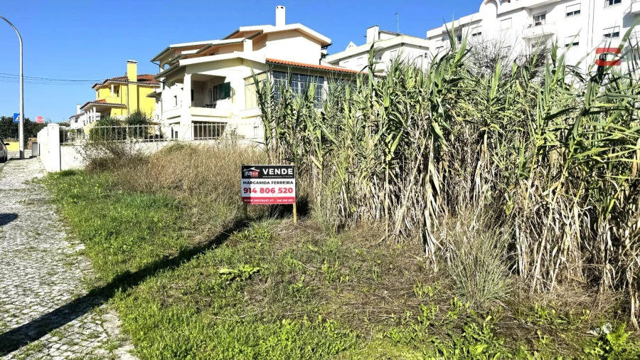 Terreno para Venda em Nossa Senhora da Piedade Foto 26