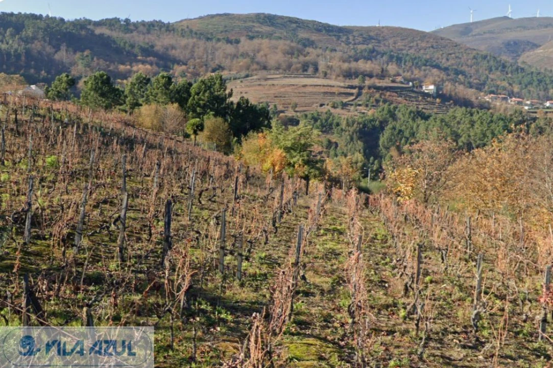 Terreno Misto para Venda em Vila Marim Foto 6