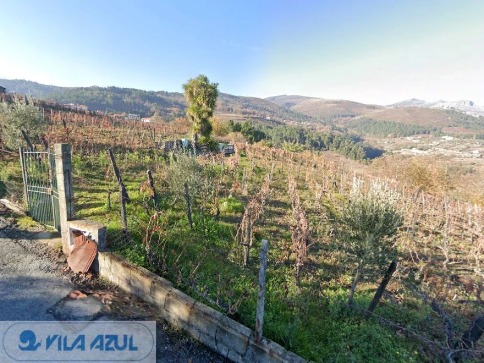 Terreno Misto para Venda em Vila Marim Foto 1