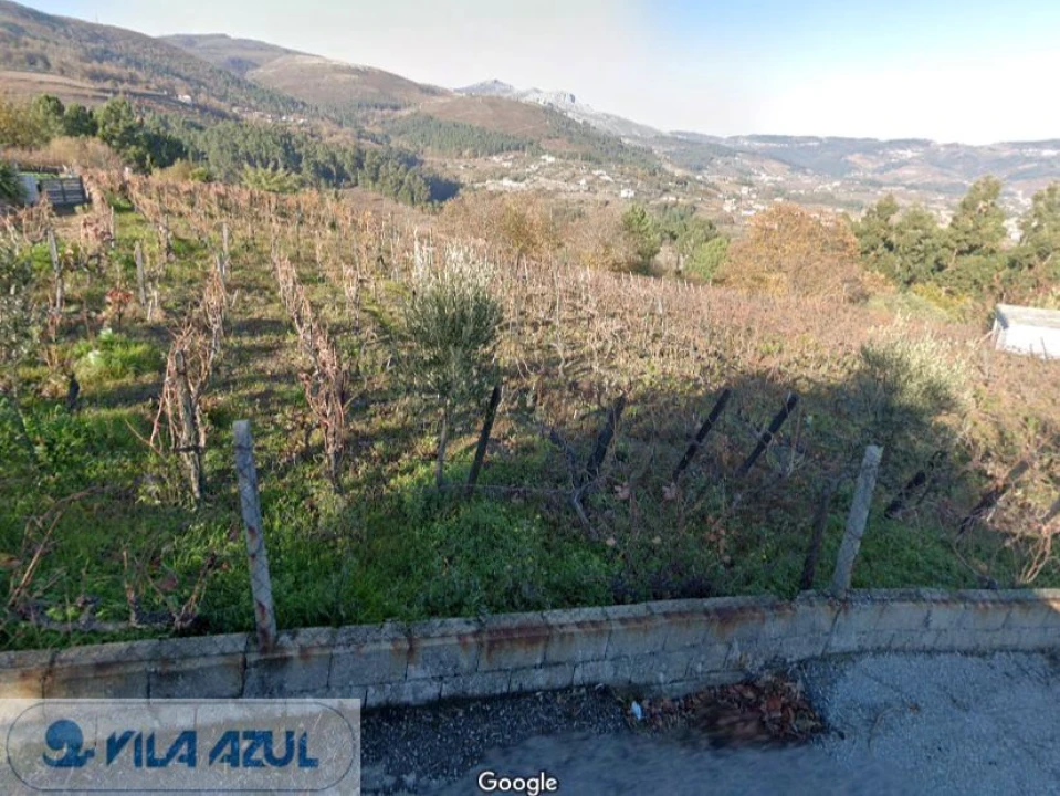 Terreno Misto para Venda em Vila Marim Foto 4