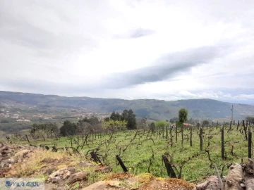 Terreno Misto para Venda em Vila Marim