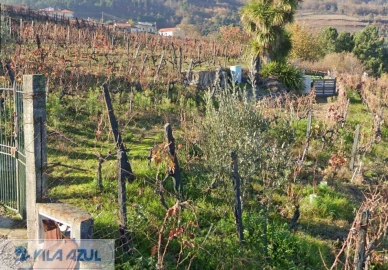 Terreno Misto para Venda em Vila Marim