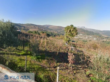 Terreno Misto para Venda em Vila Marim