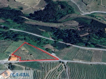 Terreno Misto para Venda em Vila Marim