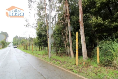 Terreno Agricola ou Rústico para Venda em Rio Meão