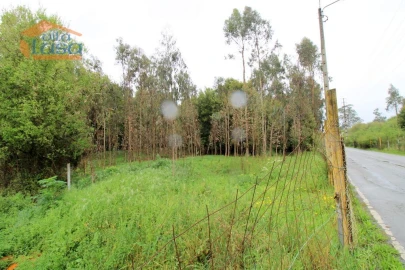 Terreno Agricola ou Rústico para Venda em Rio Meão