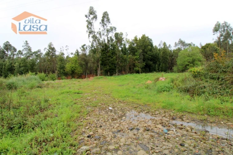Terreno Agricola ou Rústico para Venda em Rio Meão Foto 5
