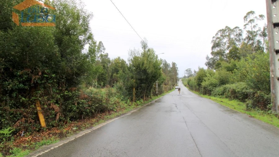 Terreno Agricola ou Rústico para Venda em Rio Meão