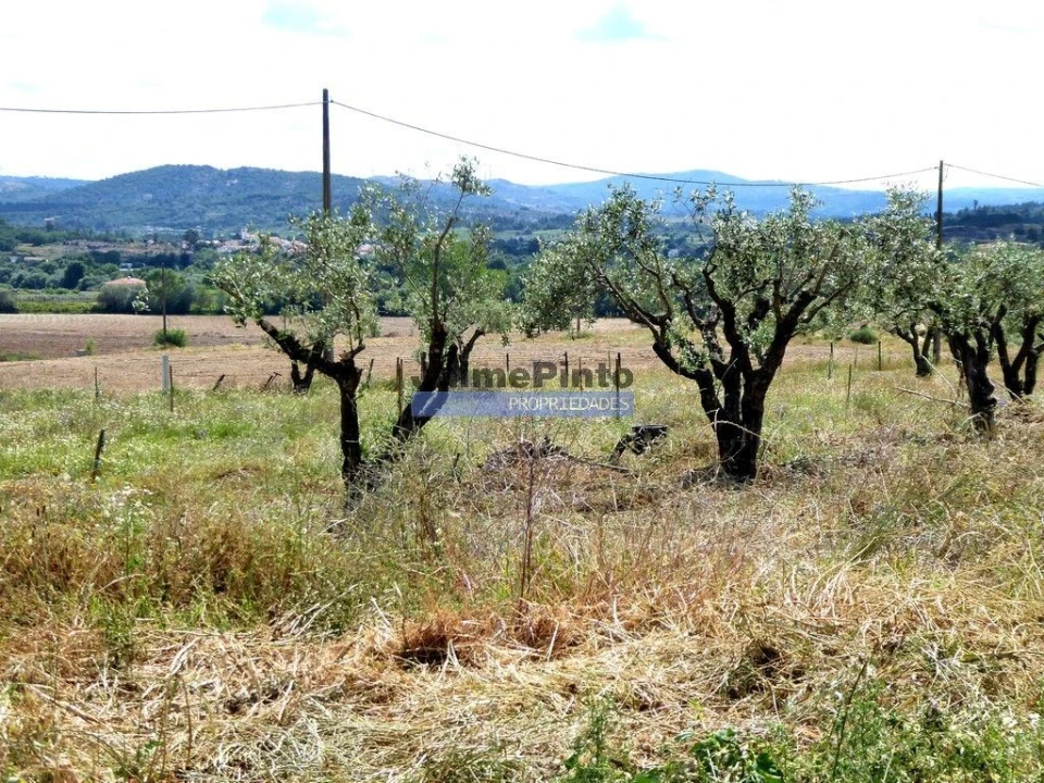 Moradia T6 para Venda em Belmonte e Colmeal da Torre Foto 1