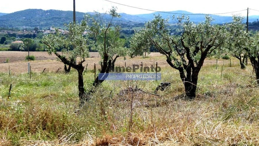 Moradia T6 para Venda em Belmonte e Colmeal da Torre
