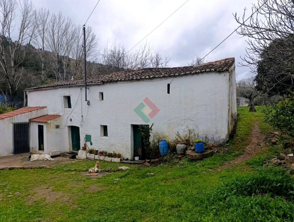 Quinta T10 para Venda em São Salvador da Aramenha Foto 7