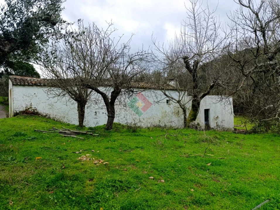 Quinta T10 para Venda em São Salvador da Aramenha Foto 8
