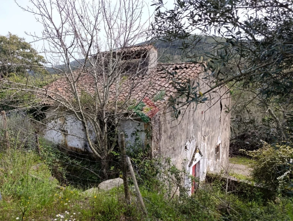 Quinta T10 para Venda em São Salvador da Aramenha Foto 16