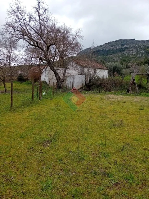 Quinta T10 para Venda em São Salvador da Aramenha