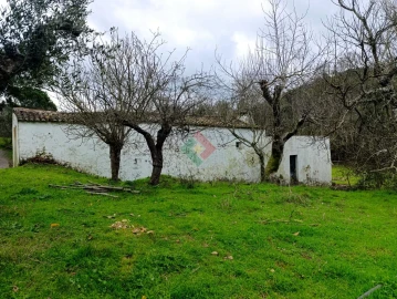 Quinta T10 para Venda em São Salvador da Aramenha