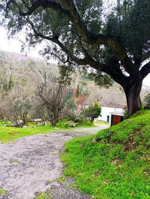 Quinta T10 para Venda em São Salvador da Aramenha
