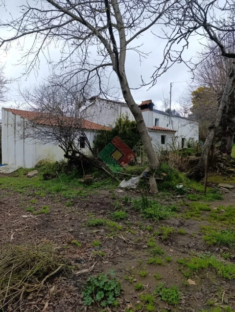 Quinta T10 para Venda em São Salvador da Aramenha