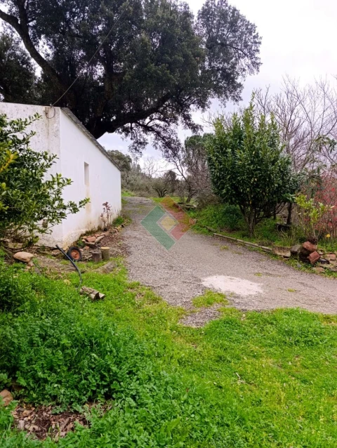 Quinta T10 para Venda em São Salvador da Aramenha