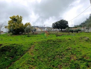 Quinta T10 para Venda em São Salvador da Aramenha
