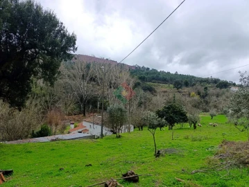Quinta T10 para Venda em São Salvador da Aramenha