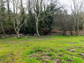 Quinta T10 para Venda em São Salvador da Aramenha