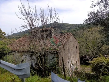 Quinta T10 para Venda em São Salvador da Aramenha