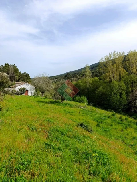 Quinta T10 para Venda em São Salvador da Aramenha
