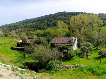Quinta T10 para Venda em São Salvador da Aramenha