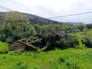 Quinta T10 para Venda em São Salvador da Aramenha