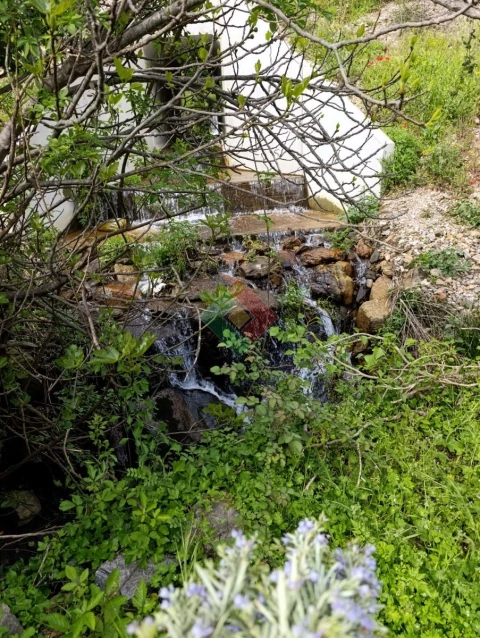 Quinta T10 para Venda em São Salvador da Aramenha