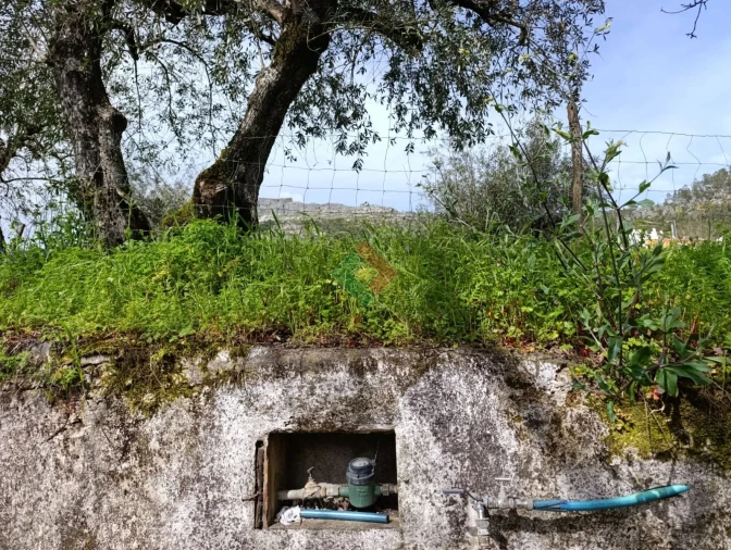 Quinta T10 para Venda em São Salvador da Aramenha Foto 3
