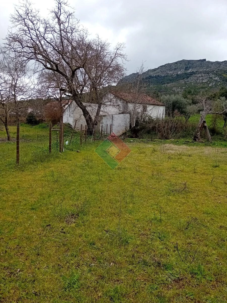 Quinta T10 para Venda em São Salvador da Aramenha Foto 5